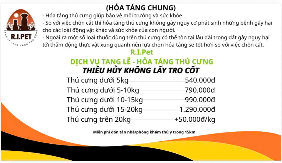 z7426574873547_bb626c77d2045bfddc6e686d1a5ea96b