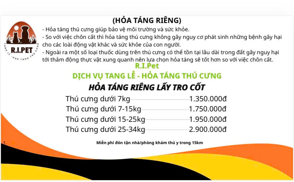 z7426574879290_f52482a90f625bb87ed6a96910258ff2