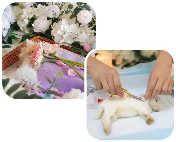 z7435875118302_4f4c5ad6bdf4eda7450d7efc1752ae12