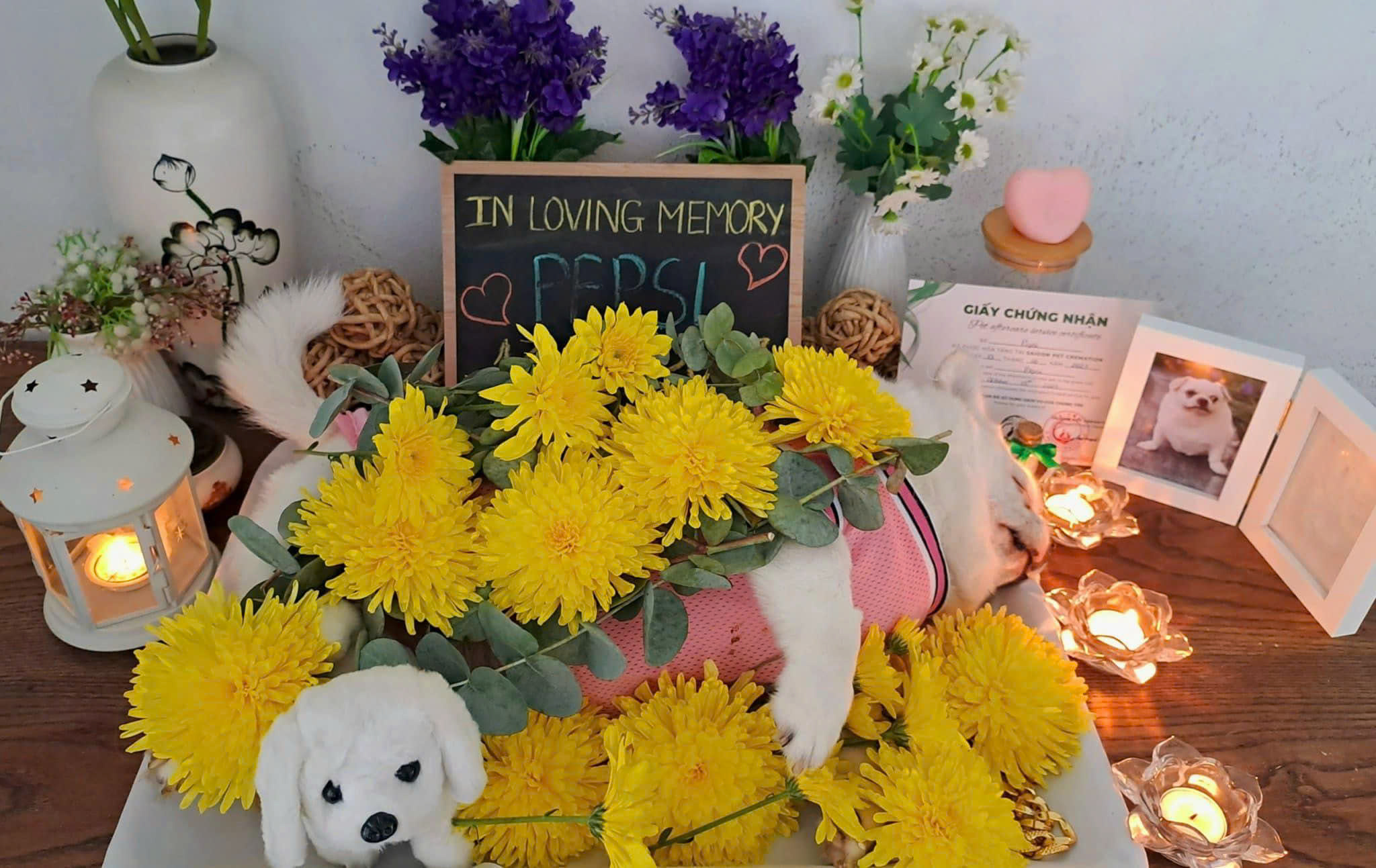 z7437416768046_ca02282afdc9bbbd9eb4e854160244ea